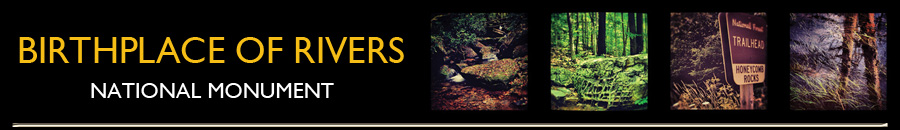 banner-about