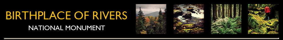 Banner Index