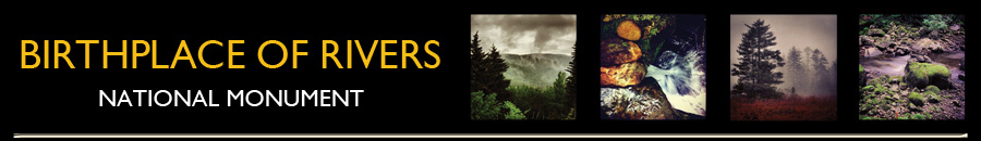Banner Landscape