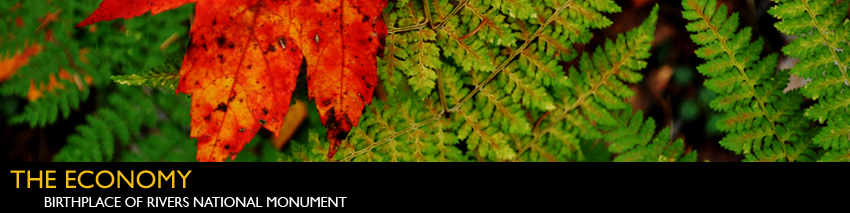 The Economy Header