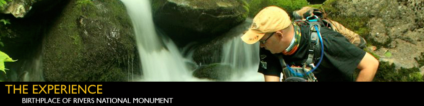 experienceHEADER