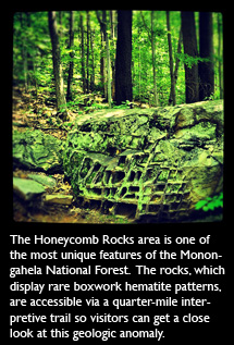Honeycomb Rocks