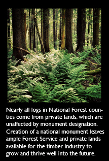 Logging in National Forest Counties predominately is done on private lands